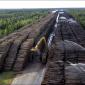 Worlds Largest Storage of Wood in Sweden