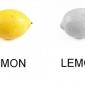 Lemon. Lemoff.