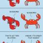 Crabs Love Rock Paper Scissors