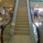 Escalator Trolling