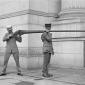 Punt Gun