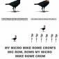 My Mike Rowe Crow