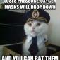 Captain Kitty's Safety Tips