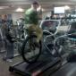 Unicycle + Treadmill