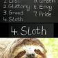 The 7 deadly sins