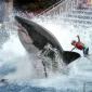 Sea World To Discontinue Great White Shark Ride