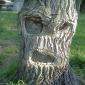 Grumpy Tree