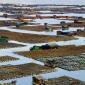 Fishing Village in China