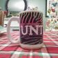 UNT Coffee Mug