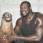 Shaq With A Seal