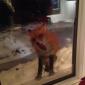 Firefox encountered a problem with Windows