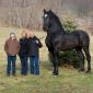 Percheron supreme world champion!