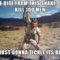 Steve Irwin