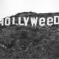 Hollyweed