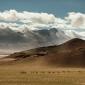 Tibetan Wild Horses