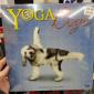 2014: Yoga Dogs