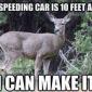 Deer Logic