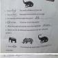 4th Grade Science Test