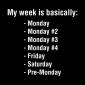 My Week