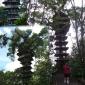 Treehouse