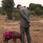 A Baby Elephant Nudges Yao Ming