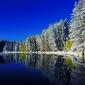 Fall Snow In Colorado