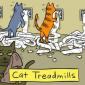 Cat Treadmills