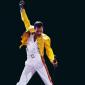 Freddie Mercury