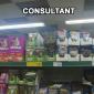 Consultant