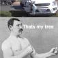 Manly Tree