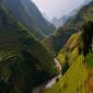 Hillside Rice Field Terraces of Thailand