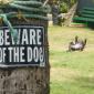 Beware of the Dog