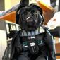 Join The Bark Side