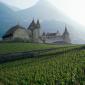 Swiss Vineyard