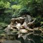 Dreaming of the Tiger Spring in Hangzhou