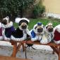 Pug Royal Family