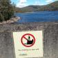 So Many Dam Rules...