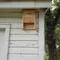 Bat House