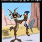 Roadrunner's Top Speed