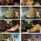 Famous Cat Paintings