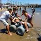 Beach Wheelchair