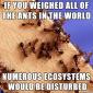 Scientific Facts: Ants