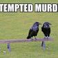 Attempted Murder