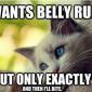 I want belly rubs
