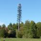 "Yeah so we just disguise it as a tree. It'll blend in perfectly and no one will even know it's a cell tower."