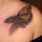 Butterfly Tattoo