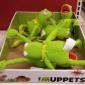 Kermit Party