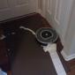 Bad Roomba! Bad!