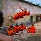 Monk running on a wall