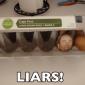 Liars!